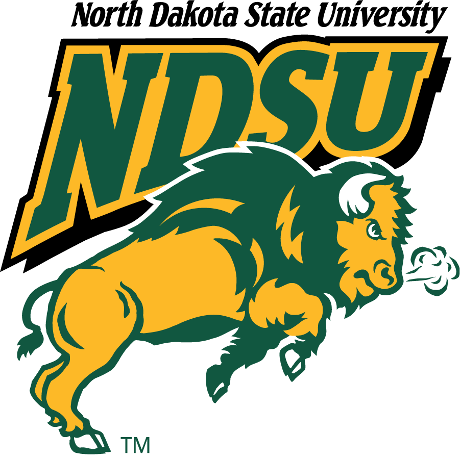North Dakota State Bison 1999-2012 Alternate Logo v2 t shirts iron on transfers